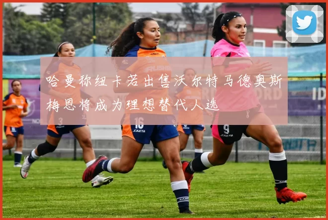 哈曼称纽卡若出售沃尔特马德奥斯梅恩将成为理想替代人选