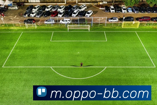 贝博体育平台生态图