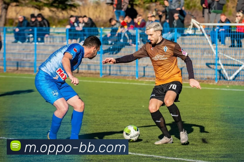 贝博体育全站App